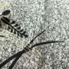 訪問着 良品 正絹 共八掛 箔 金彩 木の葉・植物柄 袷仕立て グレー_画像11