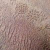 小紋 美品 徳川蒔絵 正絹 ぼかし 木の葉・植物柄 袷仕立て 紫・藤色_画像7