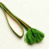 帯締め 平組 フォーマル用 正絹 木の葉・植物柄 緑・うぐいす色_画像5
