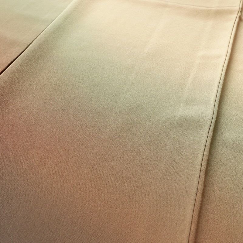 付け下げ 良品 三つ紋付き 縮緬 正絹 その他の柄 袷仕立て 身丈165.5cm 裄丈67cm 附下 グラデーション ベージュ_画像5