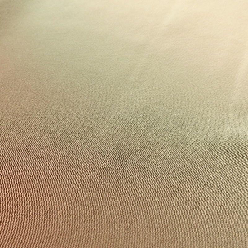 付け下げ 良品 三つ紋付き 縮緬 正絹 その他の柄 袷仕立て 身丈165.5cm 裄丈67cm 附下 グラデーション ベージュ_画像6