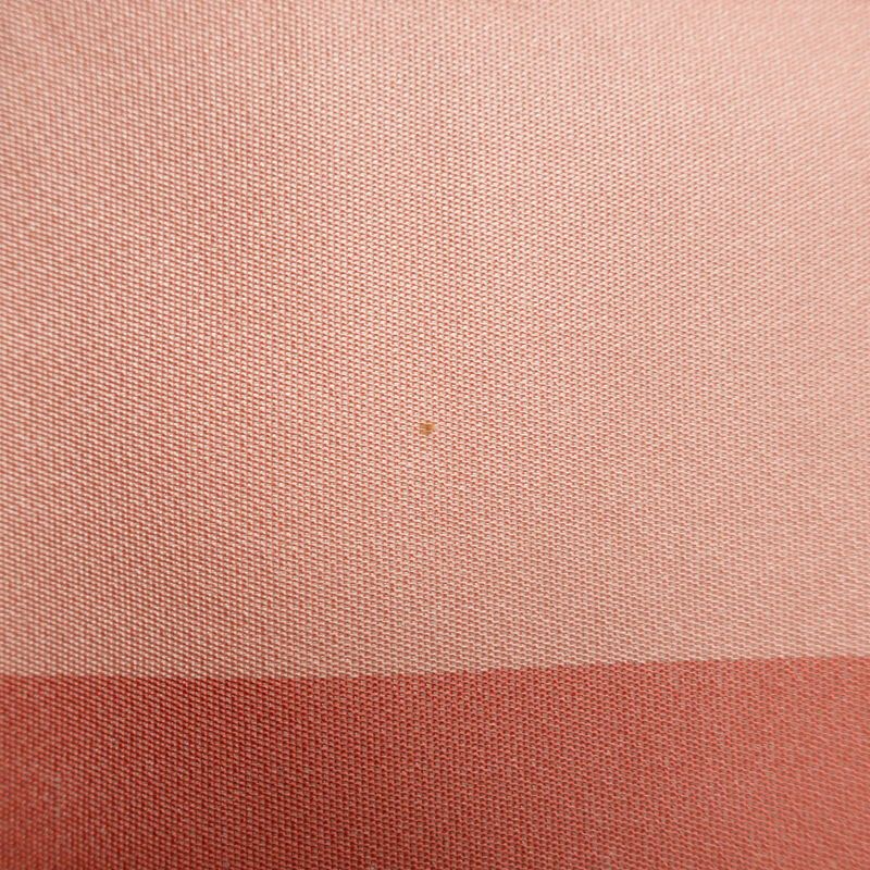 袋帯 六通柄 振袖用 正絹 蝶・昆虫柄 金・銀_画像19