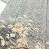 訪問着 たたき染め 縮緬 正絹 古典柄 袷仕立て 身丈164.5cm 裄丈67cm 箔 金彩 グレー_画像5