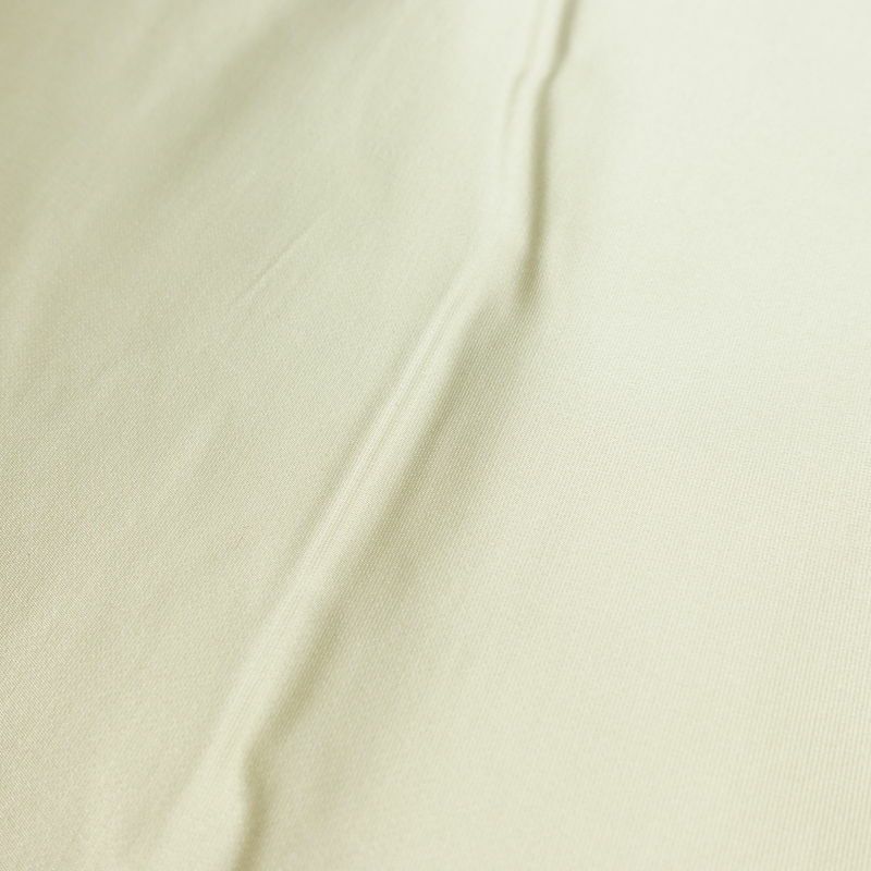 袋帯 六通柄 フォーマル用 正絹 古典柄 扇面 箔 ベージュ_画像17