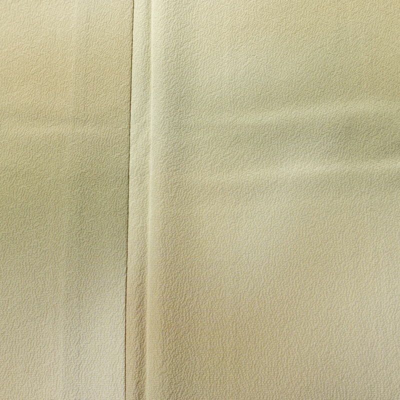 単衣 色無地 良品 縮緬 一つ紋付き 正絹 その他の柄 単衣仕立て 身丈160cm 裄丈66.5cm フォーマル 着物 ぼかし ベージュ_画像6