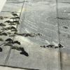 訪問着 美品 落款入り 正絹 風景柄 袷仕立て 身丈159cm 裄丈67cm リサイクル着物 着物 箔 共八掛 銀彩 卒業式 フォーマル グレー_画像4