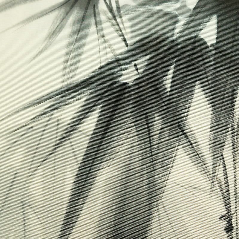 名古屋帯 太鼓柄 落款入り 正絹 木の葉・植物柄 名古屋仕立て なごや帯 リサイクル帯 帯 白_画像3